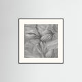 Abstract Charcoal Seed Pods (50 cm x 50 cm) Framed Art Print