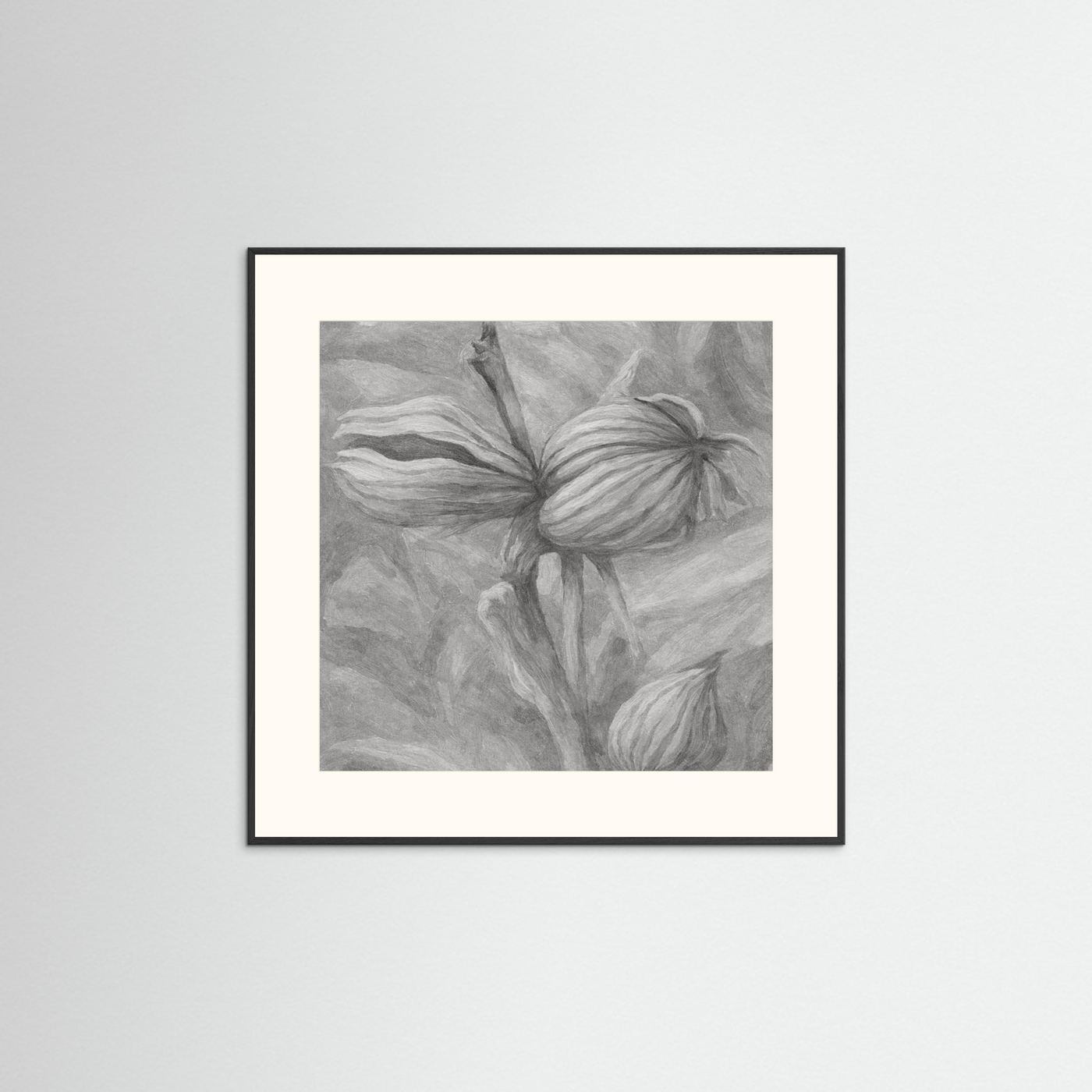 Abstract Charcoal Seed Pods (50 cm x 50 cm) Framed Art Print